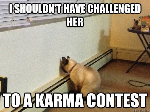 I shouldn't have challenged her to a karma contest   Regretful Cat