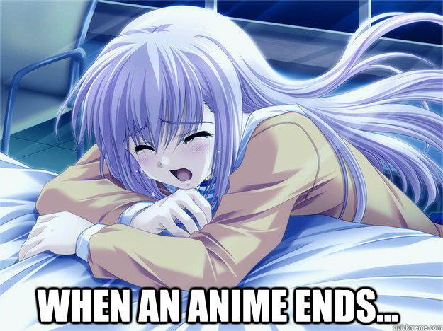 when an anime ends...  Anime world problems