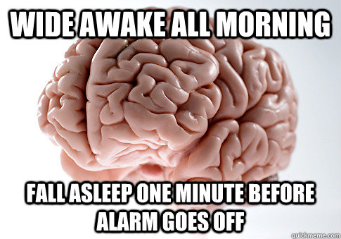 wide awake all morning fall asleep one minute before alarm goes off   Scumbag Brain