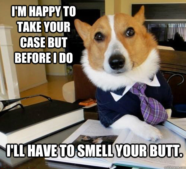 I'm happy to take your case but before I do I'll have to smell your butt.  Lawyer Dog