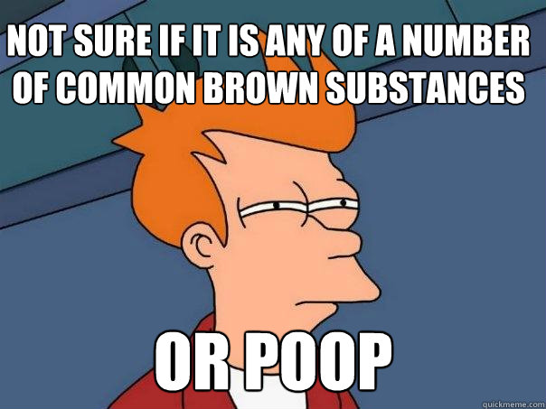 Not sure if it is any of a number of common brown substances or poop  Futurama Fry