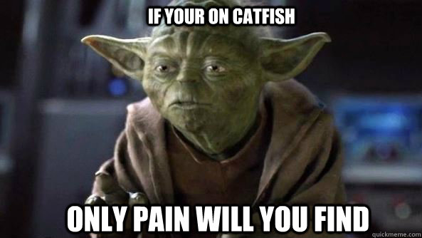 If your on Catfish only pain will you find  - If your on Catfish only pain will you find   True dat, Yoda.