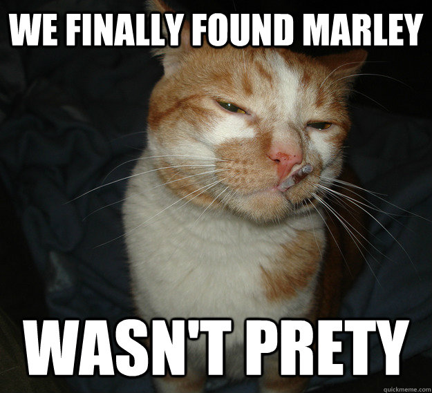 we finally found marley wasn't prety  Cool Cat Craig