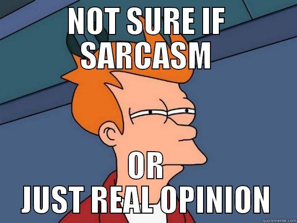 NOT SURE IF SARCASM OR JUST REAL OPINION Futurama Fry