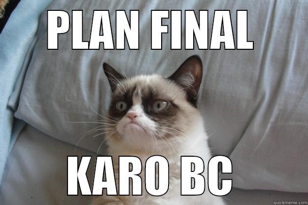 PLAN FINAL KARO BC Grumpy Cat