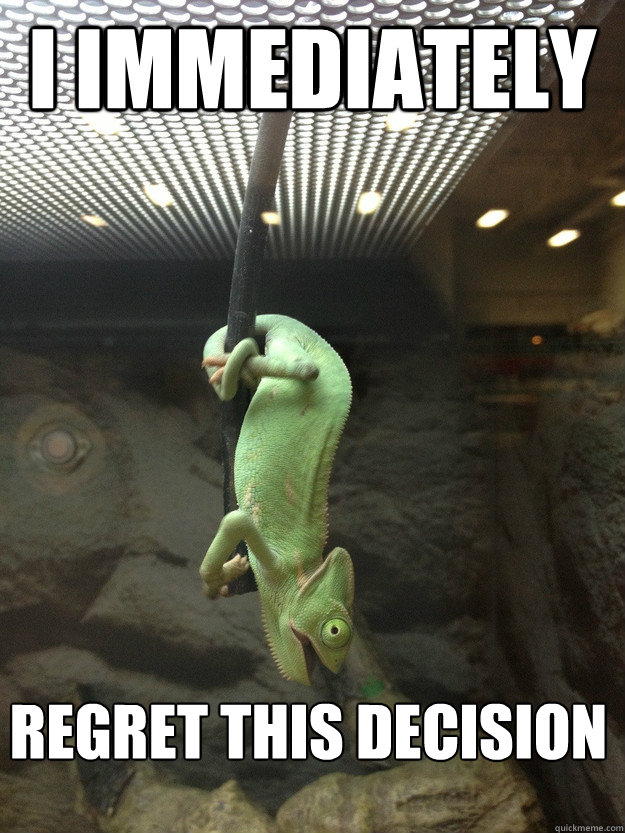 I immediately regret this decision - I immediately regret this decision  Misc