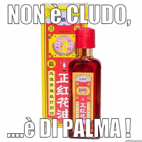 NON È CLUDO, ....È DI PALMA ! Misc