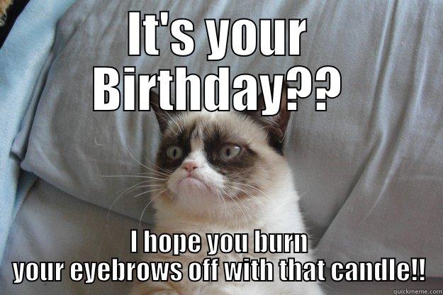 IT'S YOUR BIRTHDAY?? I HOPE YOU BURN YOUR EYEBROWS OFF WITH THAT CANDLE!! Grumpy Cat