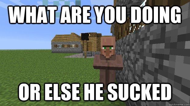 WHAT ARE YOU DOING OR ELSE HE SUCKED  MINECRAFT VILLAGER MEME THING