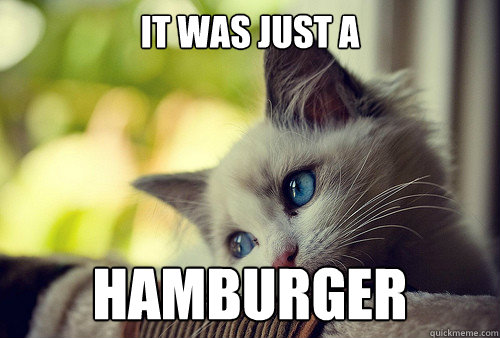 It was just a Hamburger  First World Cat Problems
