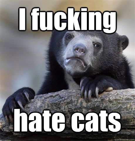 I fucking  hate cats  Confession Bear