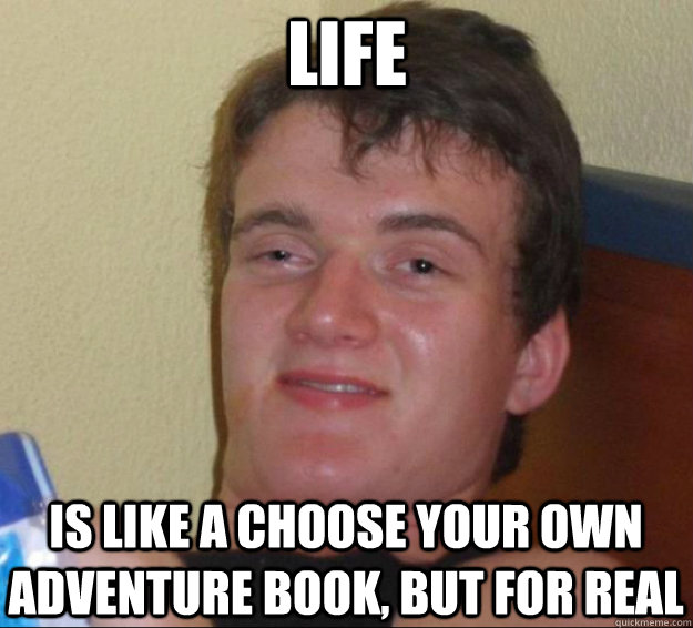 life is like a choose your own adventure book, but for real 10guy