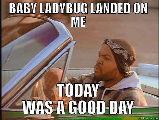 HA HA  - BABY LADYBUG LANDED ON ME TODAY WAS A GOOD DAY today was a good day