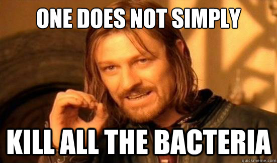 One Does Not Simply Kill all the bacteria  Boromir