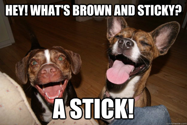 Hey! what's brown and sticky? A stick!  Clean Joke Puppies