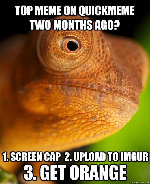 Top meme on quickmeme two months ago? 1. Screen cap  2. Upload to Imgur 3. Get orange  The New Karma Chameleon
