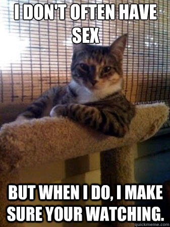 i don't often have sex but when i do, i make sure your watching.  The Most Interesting Cat in the World