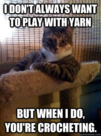 I don't always want to play with yarn But when I do, you're crocheting.  The Most Interesting Cat in the World
