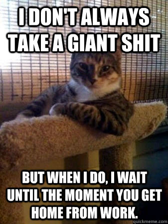 I don't always take a giant shit but when I do, I wait until the moment you get home from work.  The Most Interesting Cat in the World