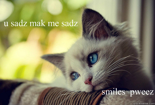 u sadz mak me sadz smiles  pweez  First World Cat Problems