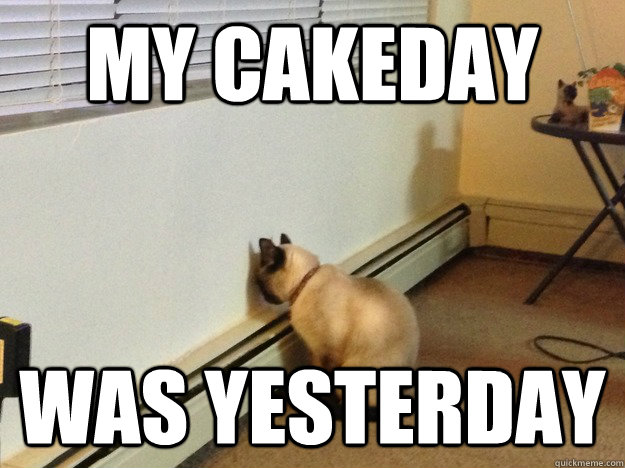 My Cakeday Was Yesterday  Regretful Cat