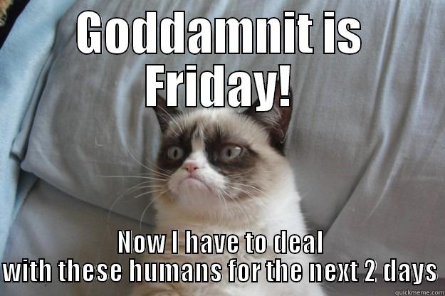 GODDAMNIT IS FRIDAY! NOW I HAVE TO DEAL WITH THESE HUMANS FOR THE NEXT 2 DAYS Grumpy Cat