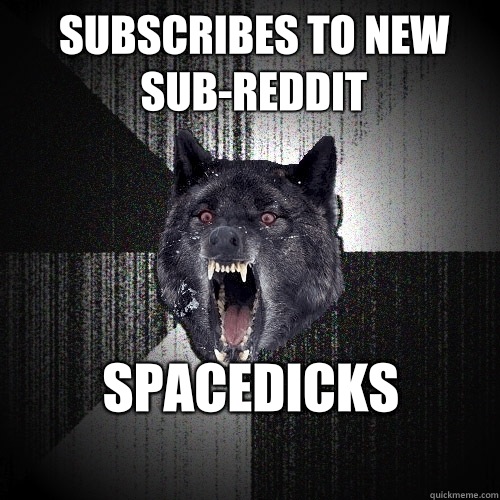 Subscribes to new sub-reddit Spacedicks
  Insanity Wolf
