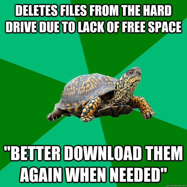 deletes files from the hard drive due to lack of free space 