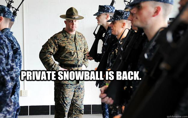 Private Snowball is back.  Navy Drill Instructor
