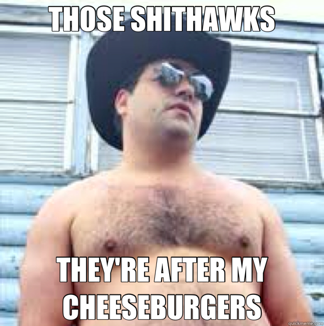 THOSE SHITHAWKS THEY'RE AFTER MY CHEESEBURGERS  