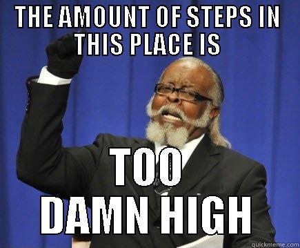 THE AMOUNT OF STEPS IN THIS PLACE IS TOO DAMN HIGH Too Damn High