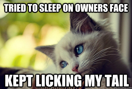 Tried to sleep on owners face kept licking my tail  First World Problems Cat