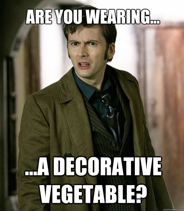 Are you wearing... ...a decorative vegetable?  Doctor Who