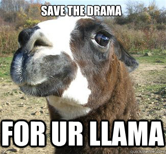 save the drama FOR UR LLAMA  Drama Llama
