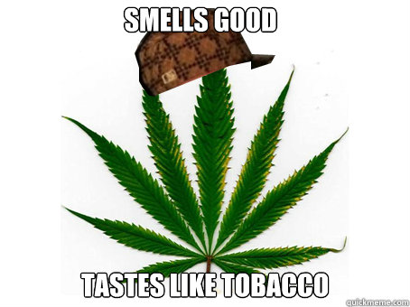 Smells good tastes like tobacco - Smells good tastes like tobacco  Scumbag Marijuana