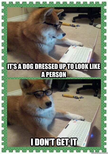 It's a dog dressed up to look like a person  I don't get it - It's a dog dressed up to look like a person  I don't get it  Misc