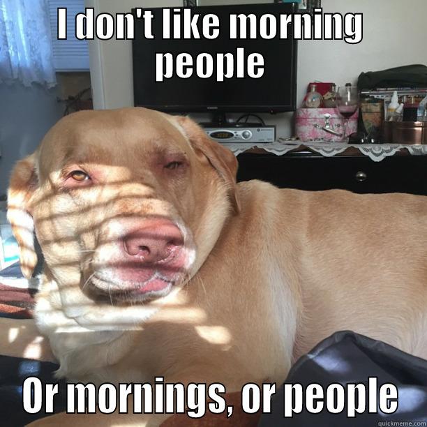 Morning dog - I DON'T LIKE MORNING PEOPLE OR MORNINGS, OR PEOPLE Misc