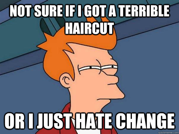 Not sure if i got a terrible haircut Or i just hate change - Not sure if i got a terrible haircut Or i just hate change  Futurama Fry