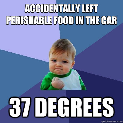 Accidentally left perishable food in the car 37 Degrees  - Accidentally left perishable food in the car 37 Degrees   Success Kid