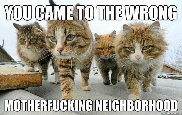 You came to the wrong  motherfucking neighborhood - You came to the wrong  motherfucking neighborhood  Misc