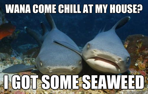 wana come chill at my house? i got some seaweed   Compassionate Shark Friend