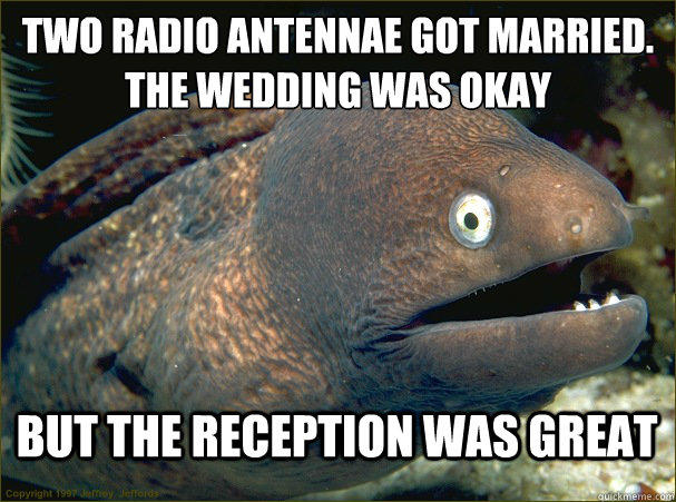 two radio antennae got married.
the wedding was okay but the reception was great  Bad Joke Eel