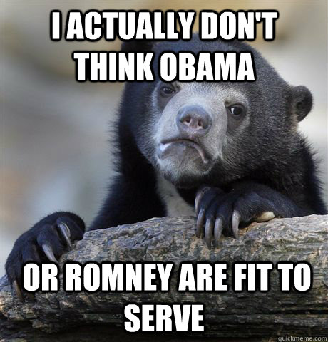 i actually don't think obama   or romney are fit to serve  Confession Bear