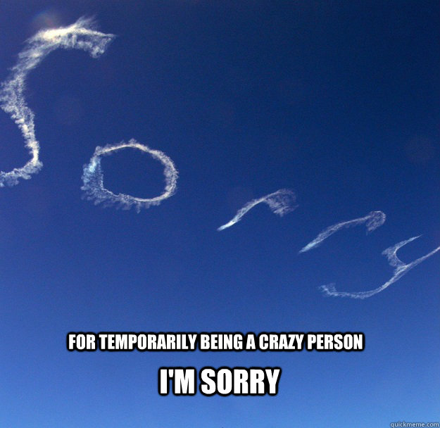 For temporarily being a crazy person I'm sorry - For temporarily being a crazy person I'm sorry  Sorry