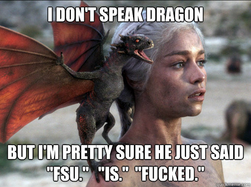 I don't speak dragon but i'm pretty sure he just said
