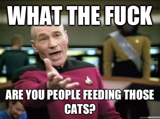What the fuck Are you people feeding those cats? - What the fuck Are you people feeding those cats?  Annoyed Picard HD