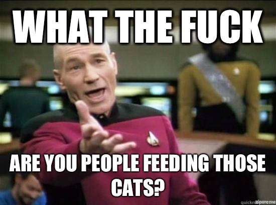 What the fuck Are you people feeding those cats?  Annoyed Picard HD
