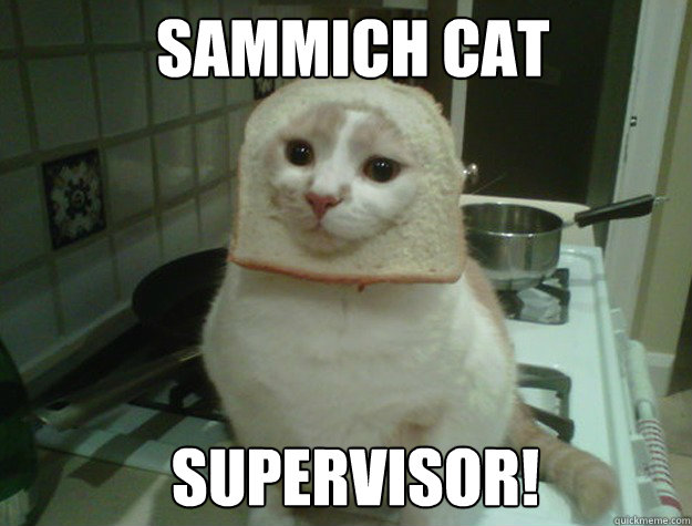 Sammich Cat Supervisor!  