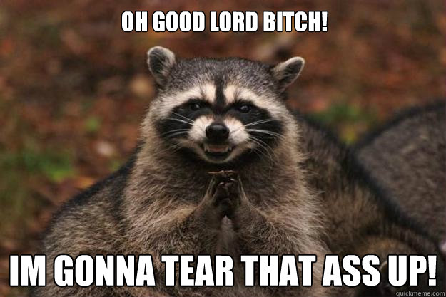 oh good lord bitch! im gonna tear that ass up!  Evil Plotting Raccoon