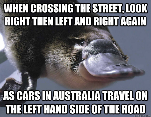 When crossing the street, look right then left and right again as Cars in Australia travel on the left hand side of the road  Platypus